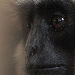 Photo Patrick Rouxel