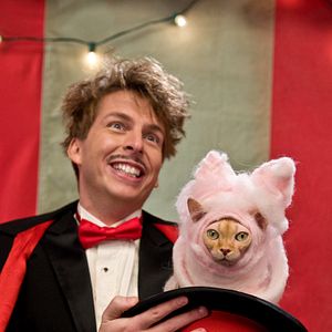 Photo Comme chiens et chats - La Revanche de Kitty Galore