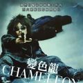 Photo Chameleon