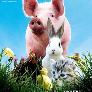 Photo La Vie sauvage des animaux domestiques
