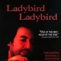 Photo Ladybird