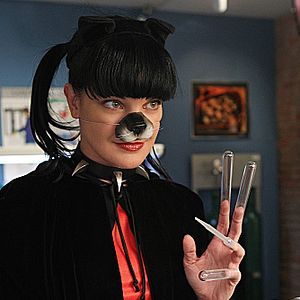Photo NCIS : Enquêtes spéciales
