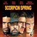 Photo Scorpion Spring