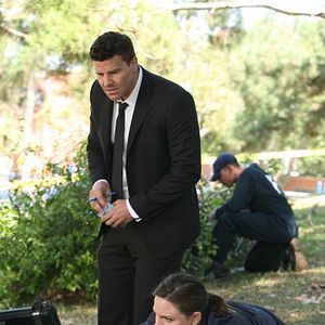 Photo Bones
