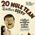 Photo 20 Mule Team
