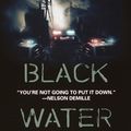 Photo Black water transit