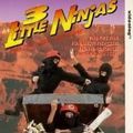 Photo 3 Little Ninjas and the Lost Treasure