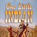 Photo Un Petit Indien
