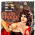 Photo Chair de poule