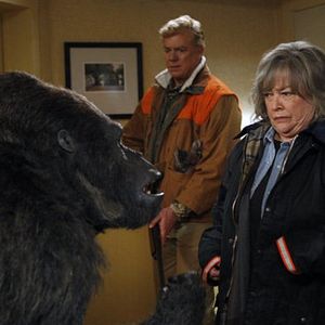 Photo La Loi selon Harry