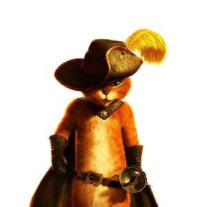 Photo Le Chat Potté