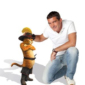 Photo Le Chat Potté