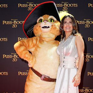 Photo Le Chat Potté