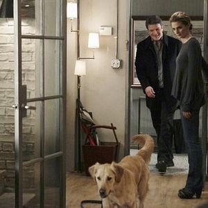 Photo Nathan Fillion