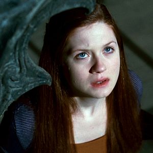 Photo Harry Potter et les reliques de la mort - partie 2
