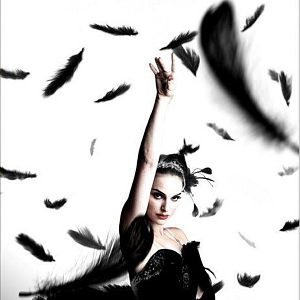 Photo Black Swan