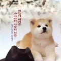 Photo Hachiko monogatari