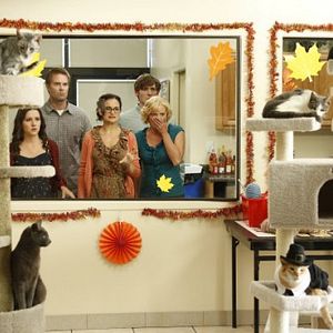 Photo Shannon Woodward