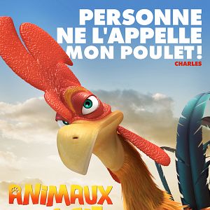 Photo Animaux et Cie