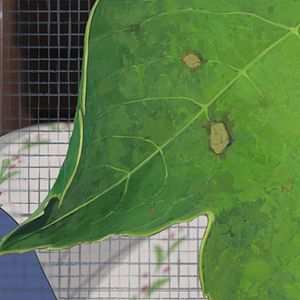 Photo Arrietty le petit monde des chapardeurs