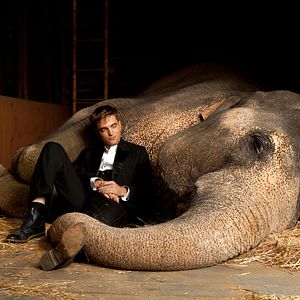 Photo Robert Pattinson