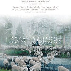 Photo Sweetgrass