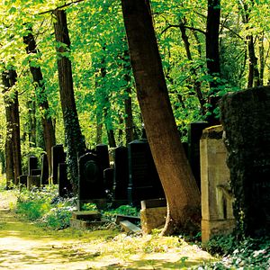 Photo Im Himmel, unter der Erde - Der jüdische Friedhof Weißensee