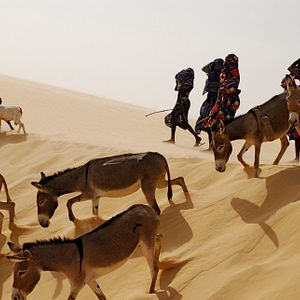 Photo Nathalie Borgers