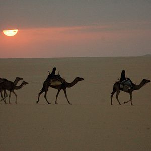 Photo Nathalie Borgers