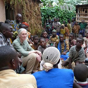 Photo Jane Goodall : retour à Gombe