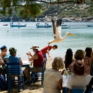 Photo Olivier Horlait