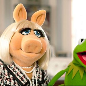 Photo Les Muppets, le retour