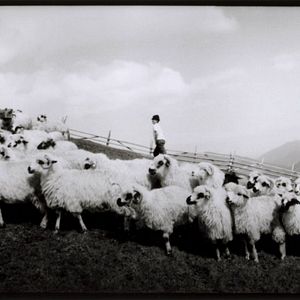 Photo Tout près du ciel