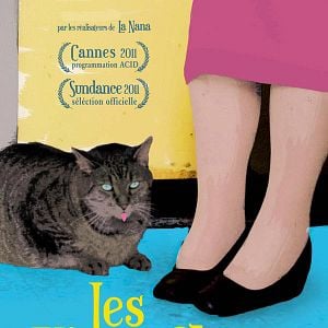 Photo Les Vieux chats