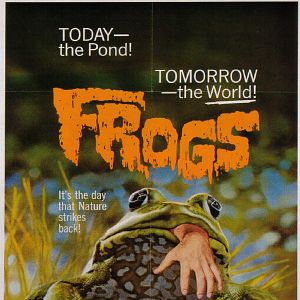 Photo Frogs