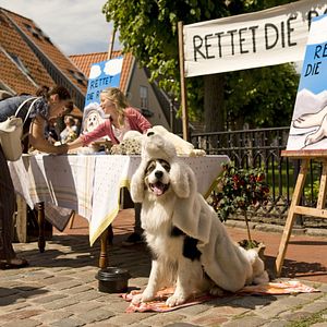 Photo Neele-Marie Nickel