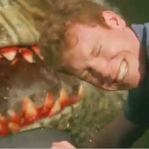 Photo Killer Shark