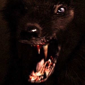Photo Monsterwolf