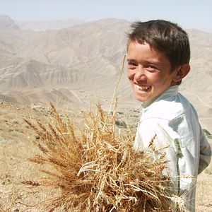 Photo The Boy Mir - Ten Years In Afghanistan