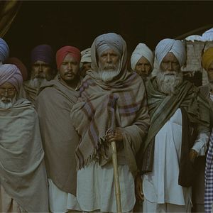 Photo Alms of the Blind Horse