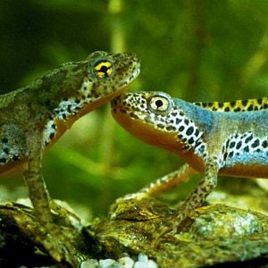 Photo La Clé des champs