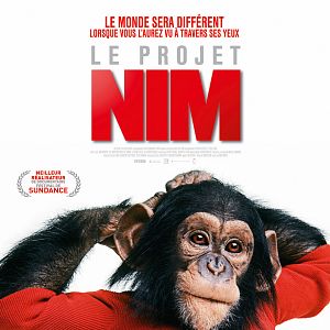 Photo Le Projet Nim
