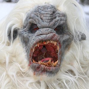 Photo Snow Beast