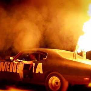 Photo Bellflower