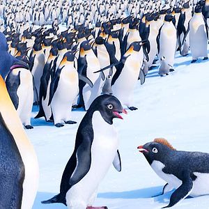 Photo Happy Feet 2