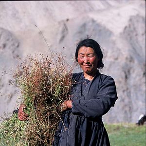 Photo Himalaya, terre des femmes