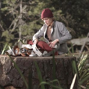Photo Le Merveilleux voyage de Nils Holgersson au pays des oies sauvages