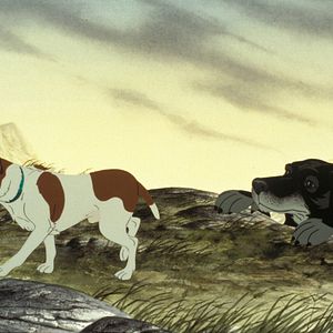 Photo The Plague Dogs