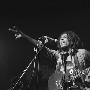 Photo Marley