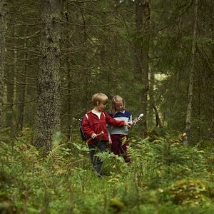 Photo Twigson mène l'enquête